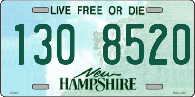 NH license plate 1308520