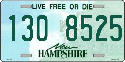 NH license plate 1308525
