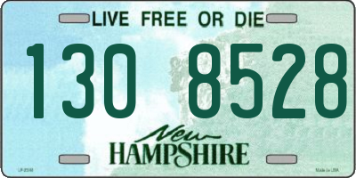 NH license plate 1308528