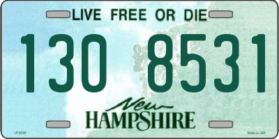 NH license plate 1308531