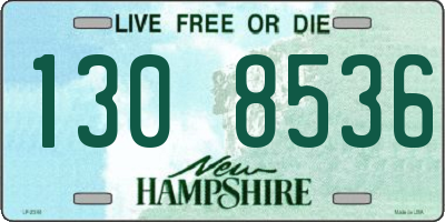 NH license plate 1308536