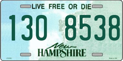 NH license plate 1308538