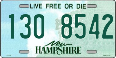 NH license plate 1308542