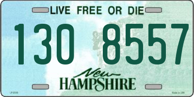 NH license plate 1308557