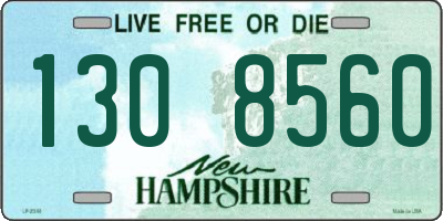 NH license plate 1308560