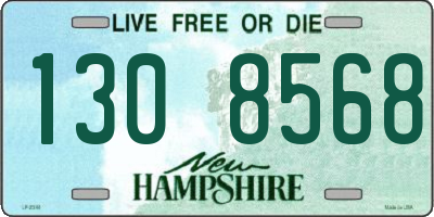 NH license plate 1308568