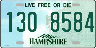 NH license plate 1308584
