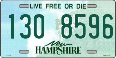 NH license plate 1308596