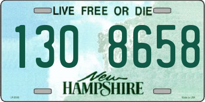 NH license plate 1308658