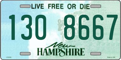 NH license plate 1308667