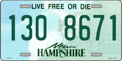 NH license plate 1308671