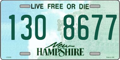 NH license plate 1308677