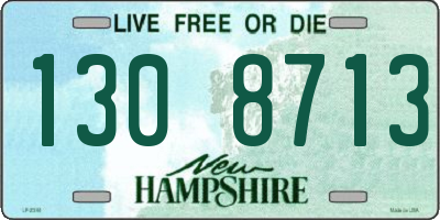 NH license plate 1308713