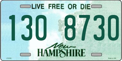 NH license plate 1308730