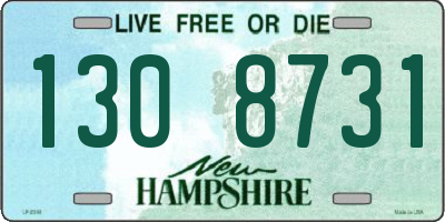 NH license plate 1308731