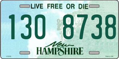 NH license plate 1308738