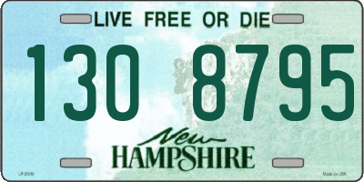 NH license plate 1308795