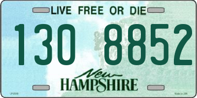 NH license plate 1308852