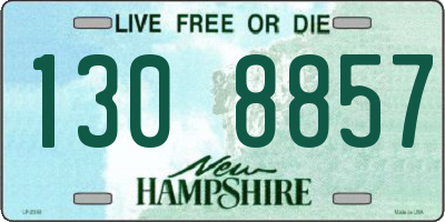 NH license plate 1308857