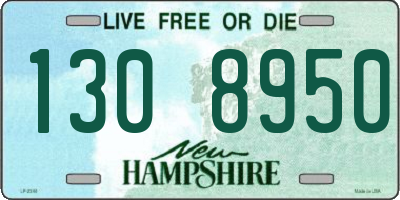 NH license plate 1308950