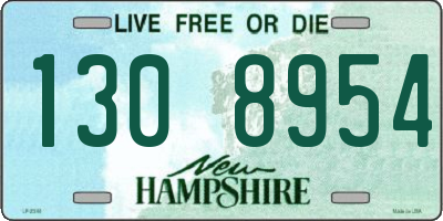 NH license plate 1308954