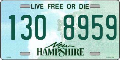 NH license plate 1308959