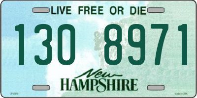 NH license plate 1308971