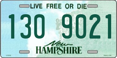 NH license plate 1309021