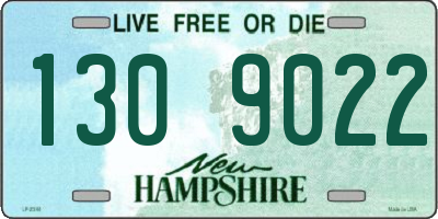 NH license plate 1309022