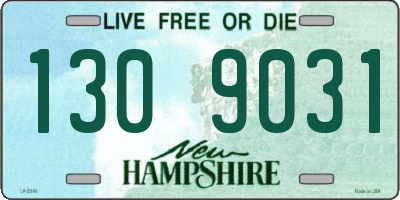 NH license plate 1309031