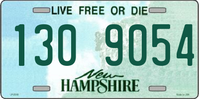 NH license plate 1309054