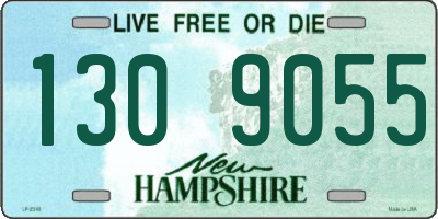 NH license plate 1309055