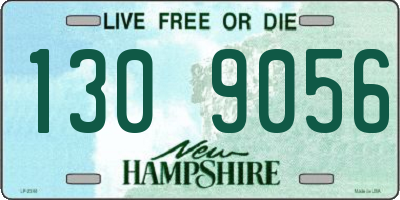 NH license plate 1309056
