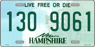 NH license plate 1309061