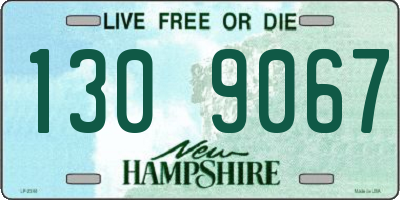 NH license plate 1309067