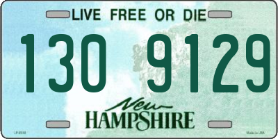 NH license plate 1309129