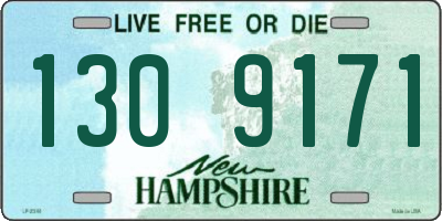 NH license plate 1309171