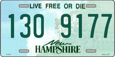 NH license plate 1309177