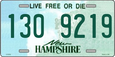NH license plate 1309219