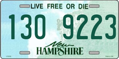 NH license plate 1309223