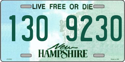 NH license plate 1309230