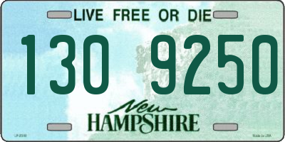NH license plate 1309250