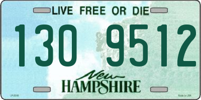 NH license plate 1309512