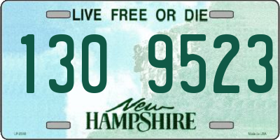 NH license plate 1309523