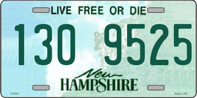 NH license plate 1309525