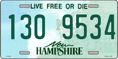 NH license plate 1309534
