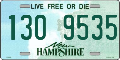 NH license plate 1309535
