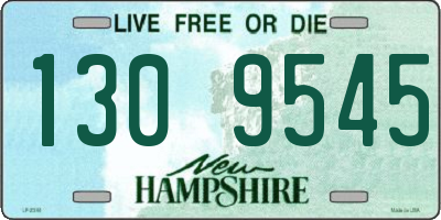 NH license plate 1309545