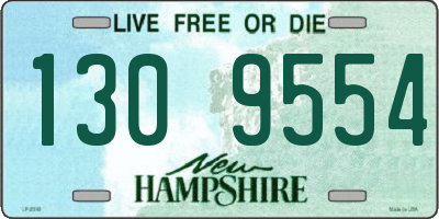 NH license plate 1309554