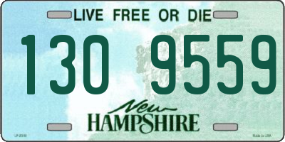 NH license plate 1309559
